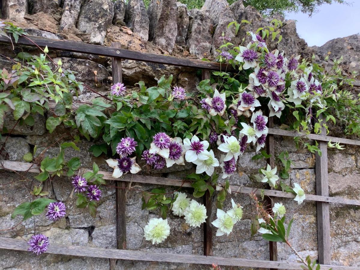 Hollyhock Cottage, Clematis Cottages, สแตมฟอร์ด ภายนอก รูปภาพ